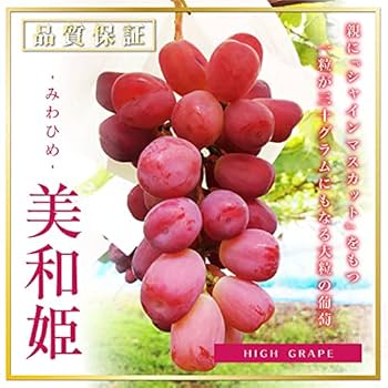 Amazon.co.jp: 超特大 美和姫 シャインマスカット セット 各2房